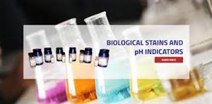 > </div>
<div class=